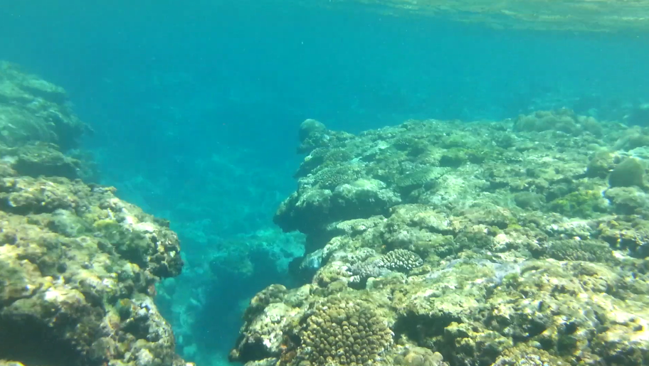 Okinawa beach where you can swim with tropical fish, Bisesaki Beach Reef [with video]