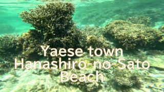 [Okinawa Beach] A 1min look at the Hanashiro-no-Sato Beach in Yaese Town