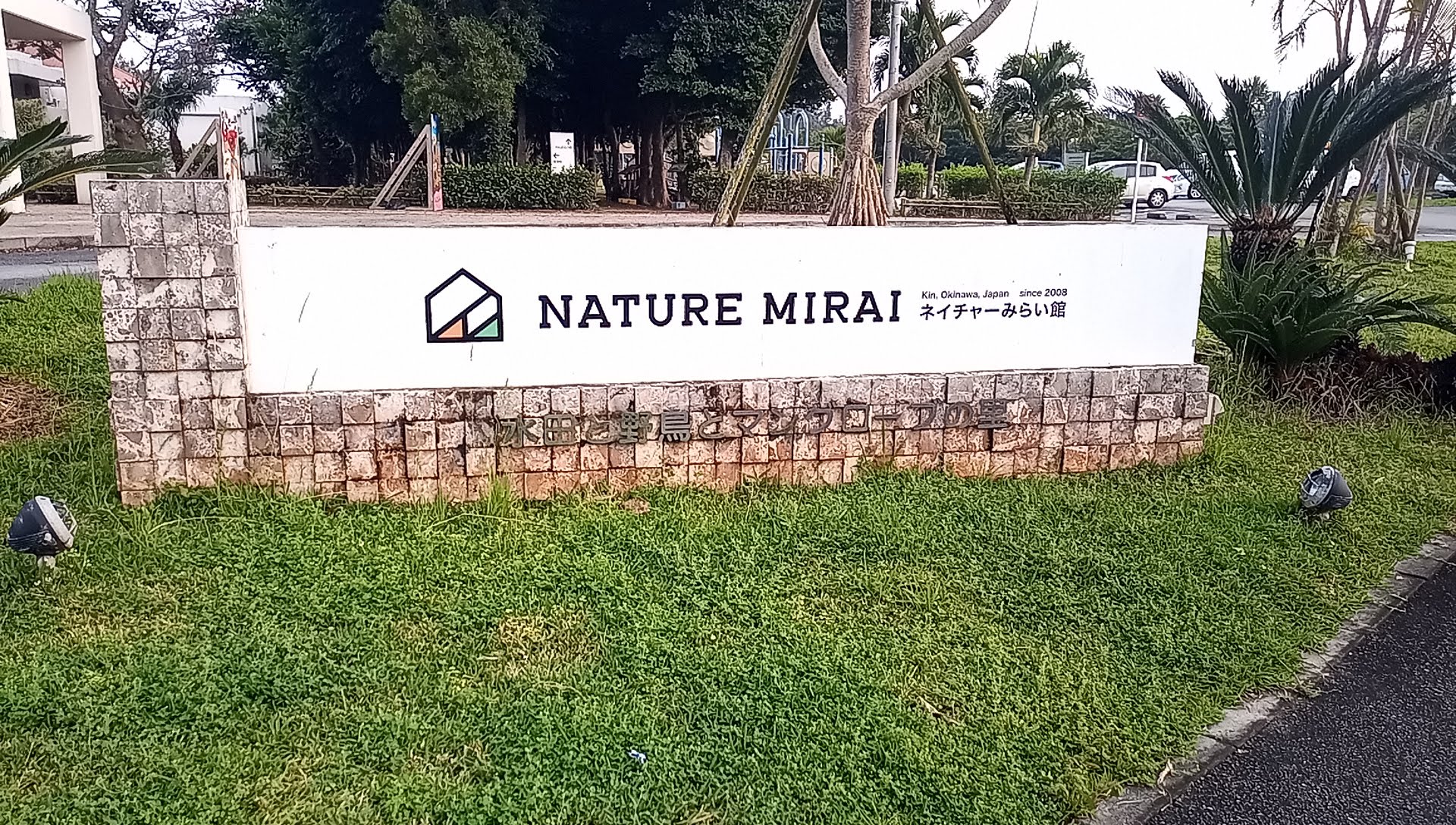 We went camping for the first time at Nature Mirai Kan in Kin Town!