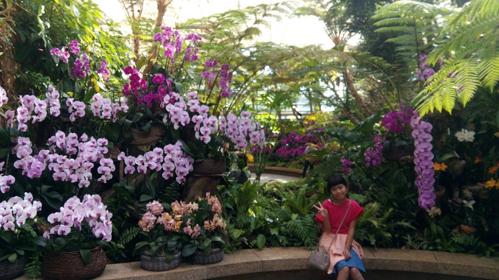 Greenhouse of tropical dream center