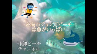 【沖縄ビーチ】糸満市ジョン万ビーチは魚がいっぱいでシュノーケリング初心者におススメ