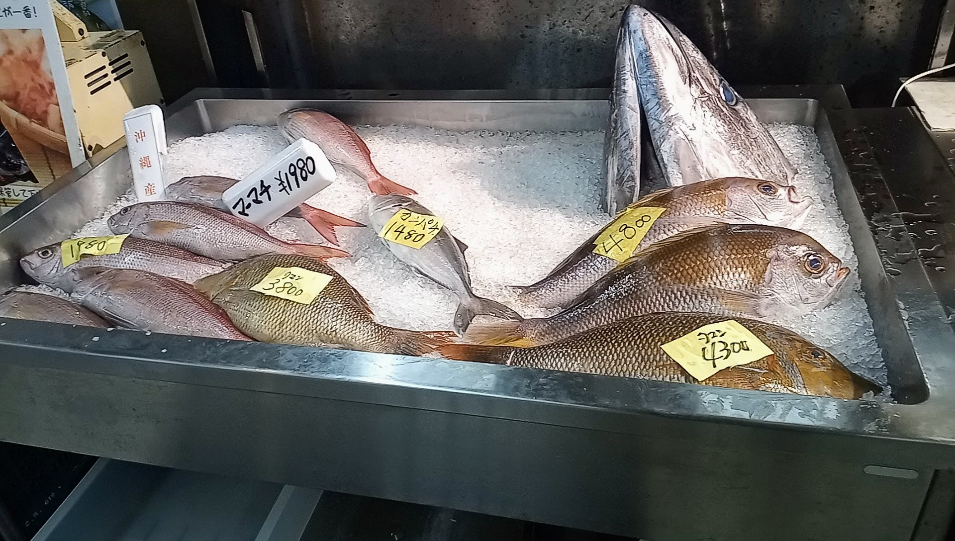 うるマルシェ内で売られていた魚